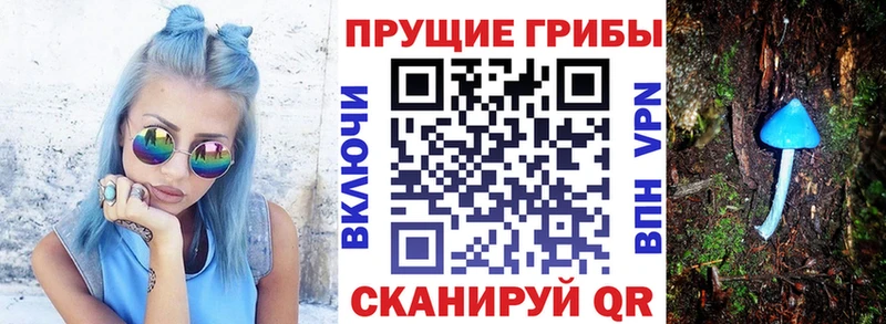 даркнет сайт  гидра зеркало  Псилоцибиновые грибы GOLDEN TEACHER  Чапаевск 